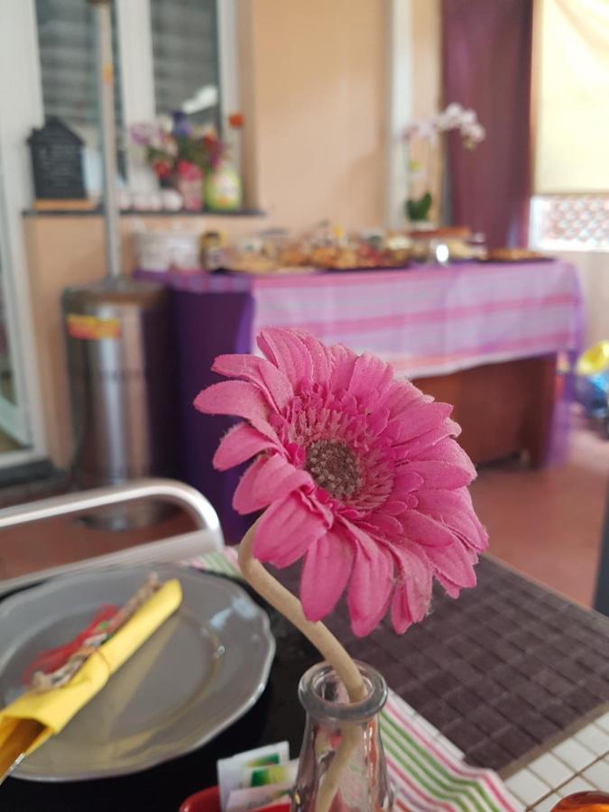 Ghiro Ghiotto Bed and Breakfast Pietra Ligure Exteriör bild